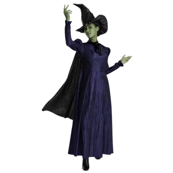 Womens Wicked Oz Movie Elphaba Deluxe Adult Large 12-14 Witch Halloween Costume - Picture 1 of 13